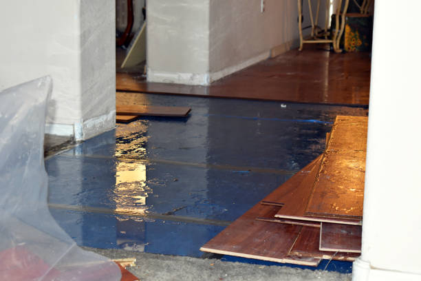 Professional Burst Pipe Cleanup technician working in Littleton, MA